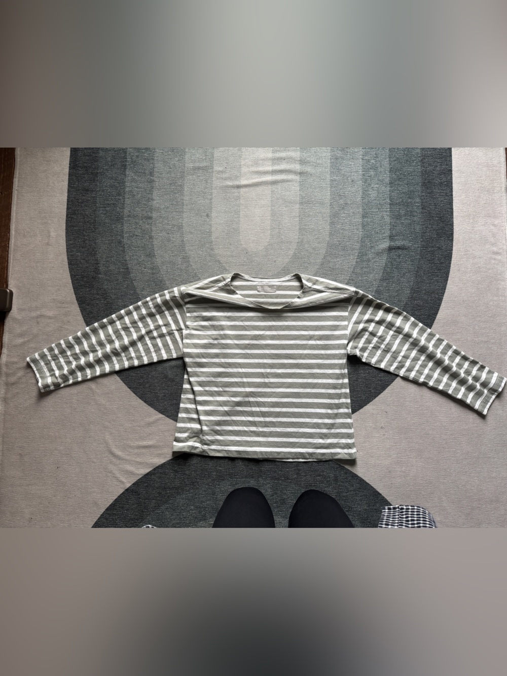 Everlane Breton Stripe Heavyweight Long-Sleeve Striped Tee in Sage & White